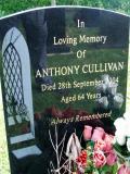 image of grave number 334552